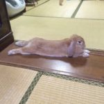 Ver.1.0.4の秘密